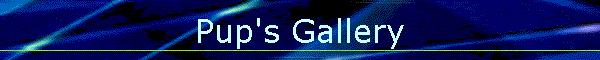Pup's Gallery