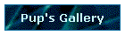 Pup's Gallery